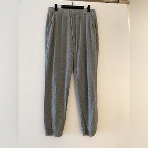 Express Shimmery Sweatpants